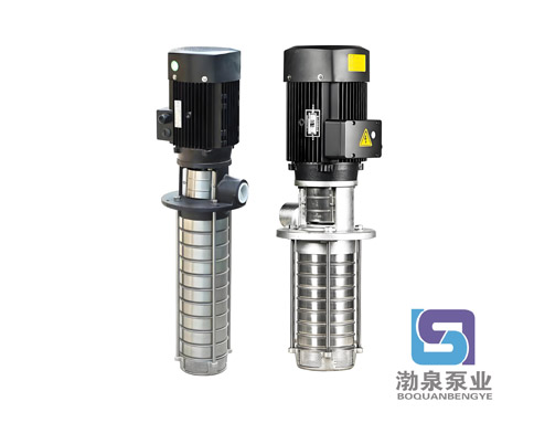 CDLKF1-110/11|浸入式多級離心泵